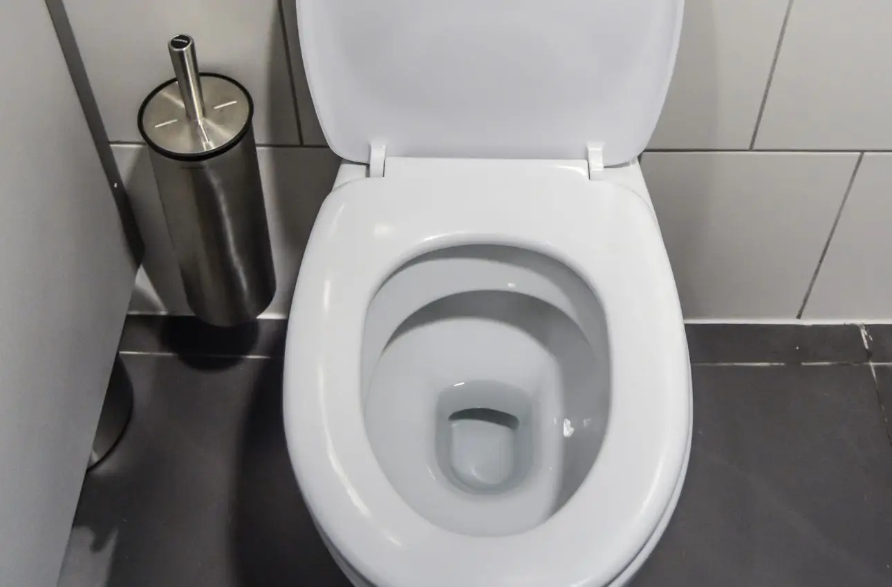 Immagine selezionata