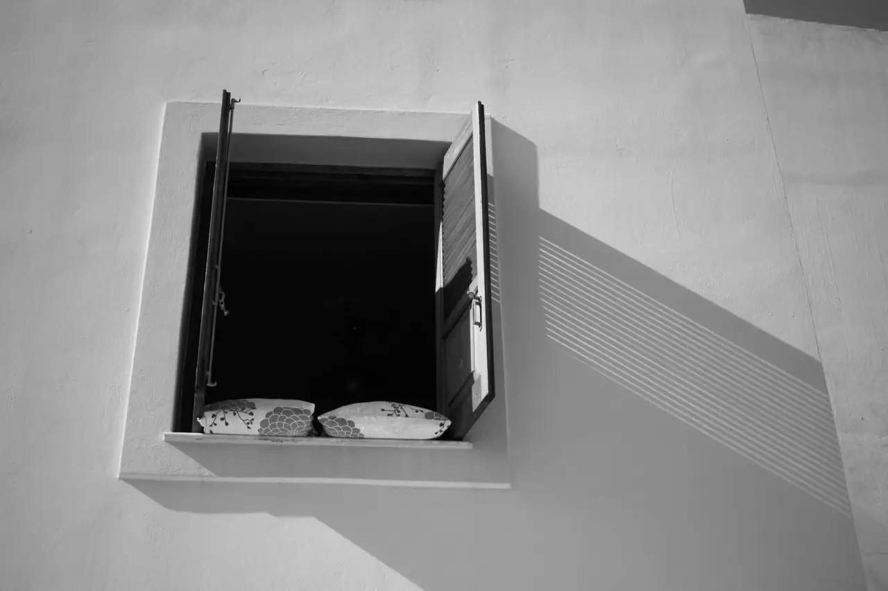 Immagine selezionata